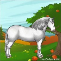 Horse Color:White Spotted Silver Brown Chinchilla Dun Splash 