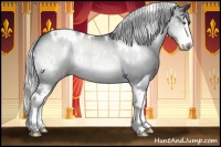 Horse Color:White Spotted Silver Brown Chinchilla Splash 