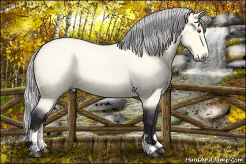 Horse Color:Silver Buckskin Chinchilla Roan Sabino 