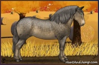 Horse Color:Chocolate Palomino Roan Mushroom 