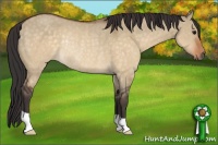 Horse Color:Buckskin Dun Rabicano 