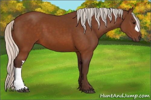 Horse Color:Silver Buckskin 