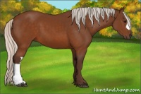 Horse Color:Silver Buckskin 