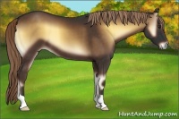 Horse Color:Liver Red Onyx
