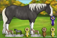 Horse Color:Liver Red Roan Splash Rabicano