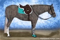 Horse Color:Black  and Silver Black 