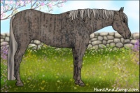 Horse Color:Black and Silver Black