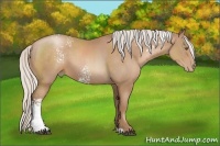 Horse Color:White Spotted Silver Black Pearl Sabino