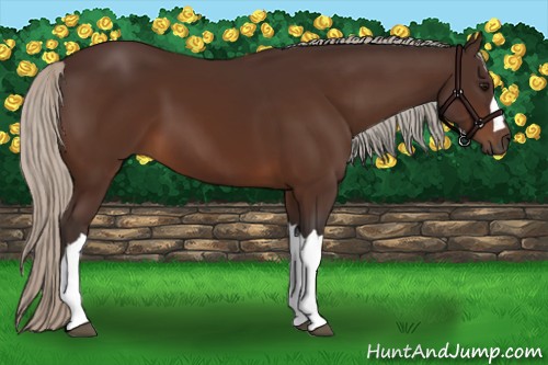 Horse Color:Silver Brown 