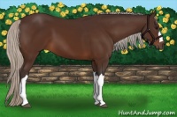 Horse Color:Silver Brown 