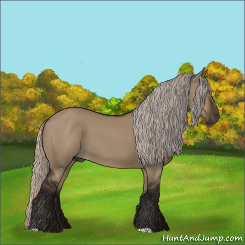 Horse Color:Gray Silver Grullo 