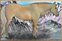 Horse Color:Silver Grullo
