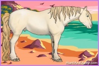 Horse Color:Smoky Black Pearl 