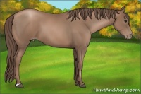 Horse Color:Black Pearl