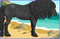 Horse Color:Black 