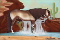 Horse Color:Chocolate Bay Onyx 