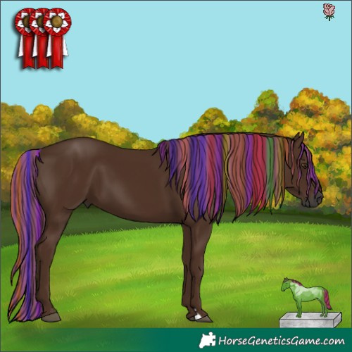 Horse Color:Gray Painted Chestnut 