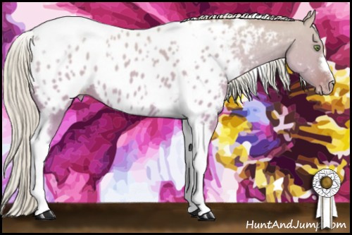 Horse Color:Silver Sable Champagne Roan Dun Splash Tobiano Frame Appaloosa Rabicano 