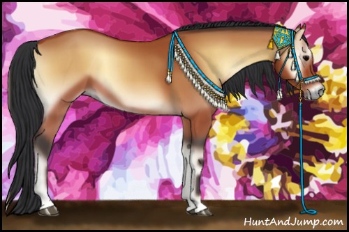 Horse Color:Bay Onyx 