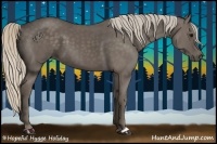 Horse Color:Silver Black