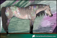 Horse Color:Void Platinum Nacre White Spotted Buckskin Dun Rabicano Brindle and Void Platinum Buckskin Rabicano