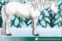 Horse Color:White Spotted Brown Chinchilla Pearl Sabino Appaloosa Rabicano and White Spotted Gold Cream Champagne Pearl Mushroom Sabino Appaloosa Rabicano