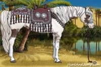 Horse Color:Liver Chestnut Sabino Varnish Rabicano  and Chocolate Palomino Pearl Sabino Varnish Rabicano 