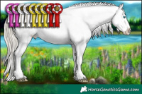 Horse Color:White Spotted Chocolate Palomino Pearl Onyx Sabino Splash Appaloosa Rabicano and White Spotted Chocolate Palomino Pearl Onyx Sabino Splash Appaloosa Rabicano