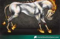 Horse Color:Chocolate Palomino Pearl Sabino Varnish Rabicano  and Chocolate Palomino Pearl Sabino Varnish Rabicano 