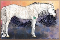 Horse Color:Chocolate Palomino Pearl Sabino Varnish Rabicano and Chocolate Palomino Pearl Sabino Varnish Rabicano