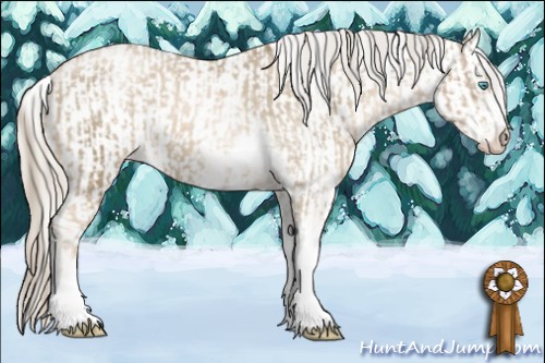 Horse Color:Chocolate Palomino Pearl Sabino Appaloosa Rabicano  and Chocolate Palomino Pearl Sabino Appaloosa Rabicano 