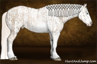 Horse Color:Chocolate Palomino Pearl Sabino Appaloosa Rabicano  and Chocolate Palomino Pearl Dun Sabino Appaloosa Rabicano 