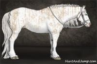 Horse Color:Chocolate Palomino Pearl Sabino Appaloosa Rabicano and Chocolate Palomino Pearl Sabino Splash Appaloosa Rabicano