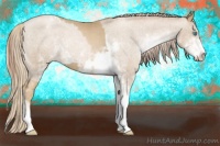 Horse Color:Chocolate Palomino Pearl Sabino Appaloosa Rabicano  and Smoky Black Pearl Sabino Appaloosa Rabicano 