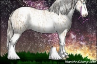 Horse Color:Chocolate Palomino Pearl Sabino Appaloosa Rabicano and Chocolate Palomino Pearl Sabino Splash Appaloosa Rabicano