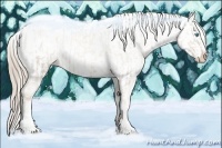 Horse Color:White Spotted Chocolate Palomino Pearl Sabino Varnish Rabicano  and Chocolate Palomino Pearl Sabino Snowflake Varnish