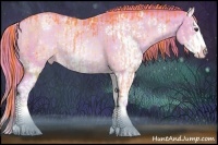 Horse Color:Platinum Watercolor White Spotted Liver Red Dun Sabino Appaloosa Rabicano and Platinum Watercolor Liver Chestnut Pearl Sabino Appaloosa Rabicano