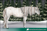 Horse Color:Brown Pearl Dun Sabino Tobiano Varnish Rabicano Brindle and Gold Cream Champagne Pearl Sabino Varnish Rabicano