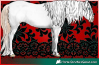 Horse Color:Chocolate Palomino Pearl Sabino Varnish Rabicano  and Smoky Black Pearl Sabino Varnish Rabicano 