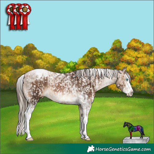 Horse Color:Chocolate Palomino Pearl Sabino Appaloosa Rabicano  and Gray Brown Pearl Splash Tobiano Appaloosa Rabicano 