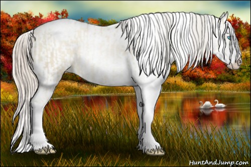 Horse Color:Chocolate Palomino Pearl Dun Sabino Appaloosa Rabicano  and Chocolate Palomino Pearl Dun Sabino Appaloosa Rabicano 