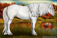 Horse Color:Chocolate Palomino Pearl Dun Sabino Appaloosa Rabicano  and Chocolate Palomino Pearl Dun Sabino Appaloosa Rabicano 