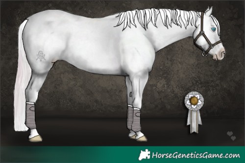 Horse Color:Platinum Chocolate Palomino Pearl Dun Tobiano Appaloosa Rabicano Brindle  and Platinum Chocolate Palomino Roan Pearl Dun Appaloosa Rabicano Brindle 