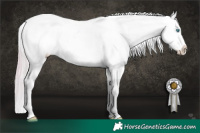 Horse Color:Platinum Chocolate Palomino Pearl Dun Tobiano Appaloosa Rabicano Brindle  and Platinum Chocolate Palomino Roan Pearl Dun Appaloosa Rabicano Brindle 