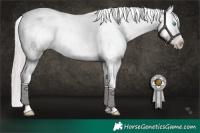 Horse Color:Platinum Chocolate Palomino Pearl Dun Tobiano Appaloosa Rabicano Brindle and Platinum Chocolate Palomino Roan Pearl Dun Appaloosa Rabicano Brindle