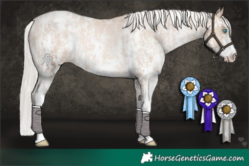 Horse Color:Chocolate Palomino Pearl Sabino Appaloosa Rabicano  and Chocolate Palomino Pearl Sabino Appaloosa 