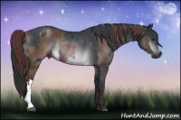 Horse Color:Platinum Chocolate Black Chinchilla Rabicano  and Platinum Brown Chinchilla Rabicano 