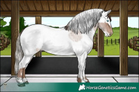 Horse Color:Brown Roan Snowdrop Pearl Mushroom Rabicano  and Liver Chestnut Snowdrop Pearl Mushroom Sabino Frame Snowcap Rabicano 