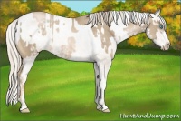 Horse Color:Chocolate Palomino Pearl Sabino Rabicano  and Chocolate Palomino Roan Pearl Varnish Rabicano 