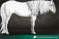 Horse Color:Gray White Spotted Chocolate Palomino Chinchilla Pearl Sabino Rabicano  and White Spotted Liver Chestnut Chinchilla Rabicano 